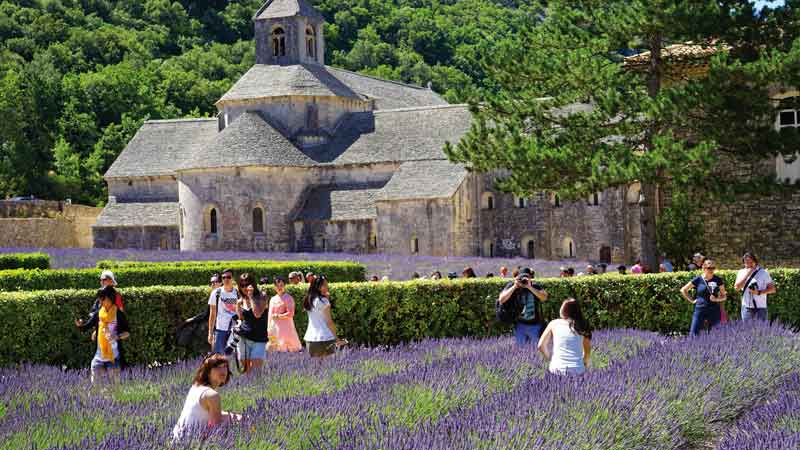 Vandring - Sentier Botanique de Lagnes, 3,6km