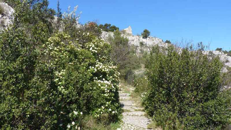 Vandring Roman Way & Santiago Hill, 3,5