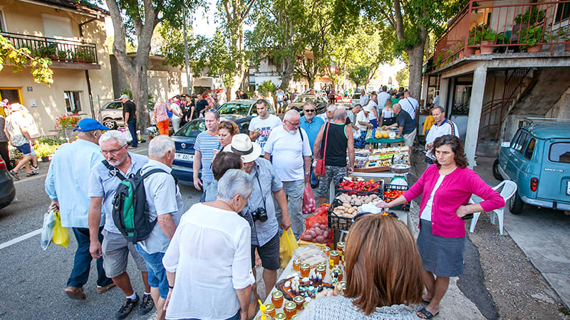 Zadvarje marknad & vandring i Imotski med vinprovning